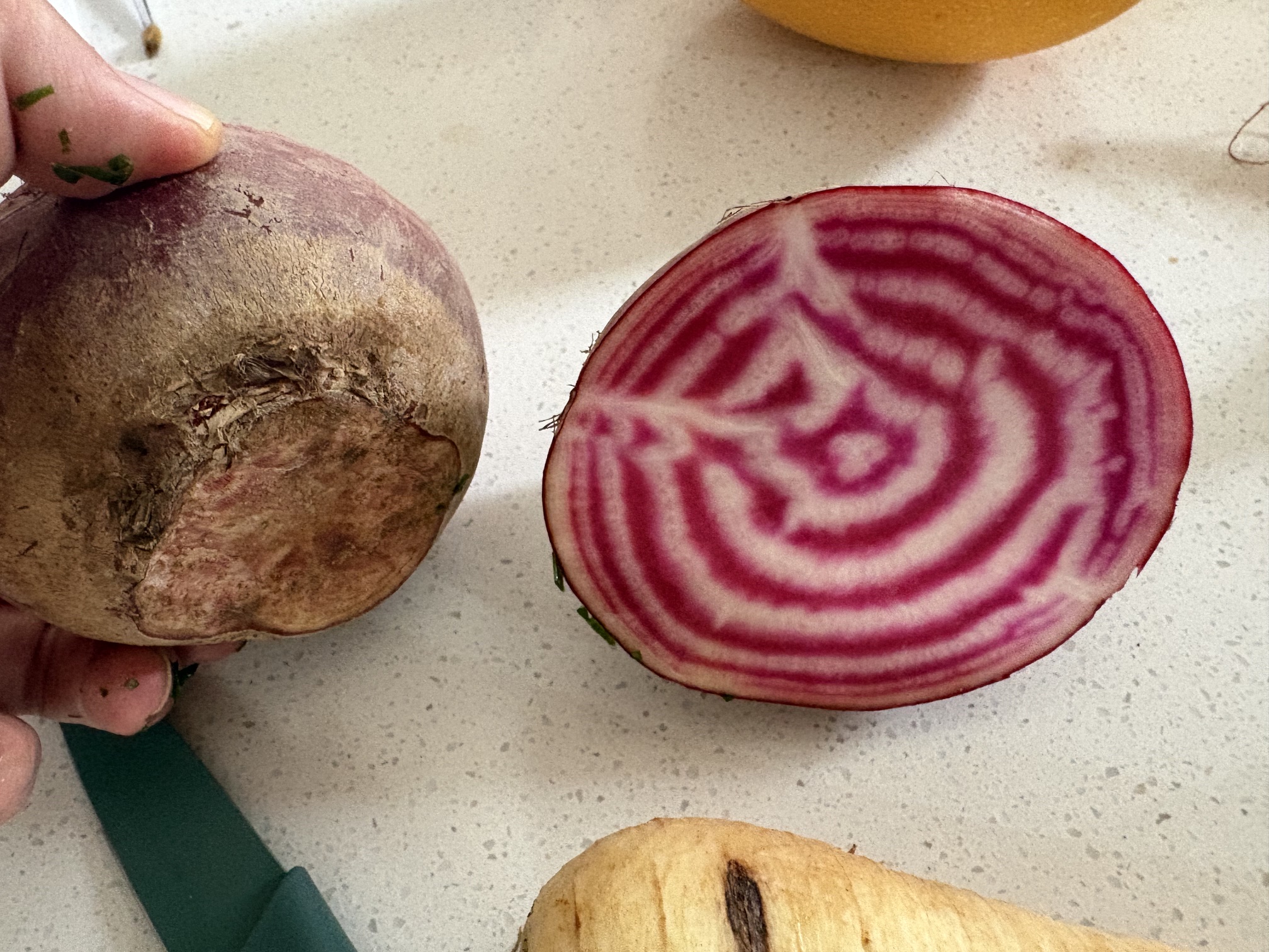 A beetroot cut open to reveal concentric pink and white patterns beside its uncut exterior.