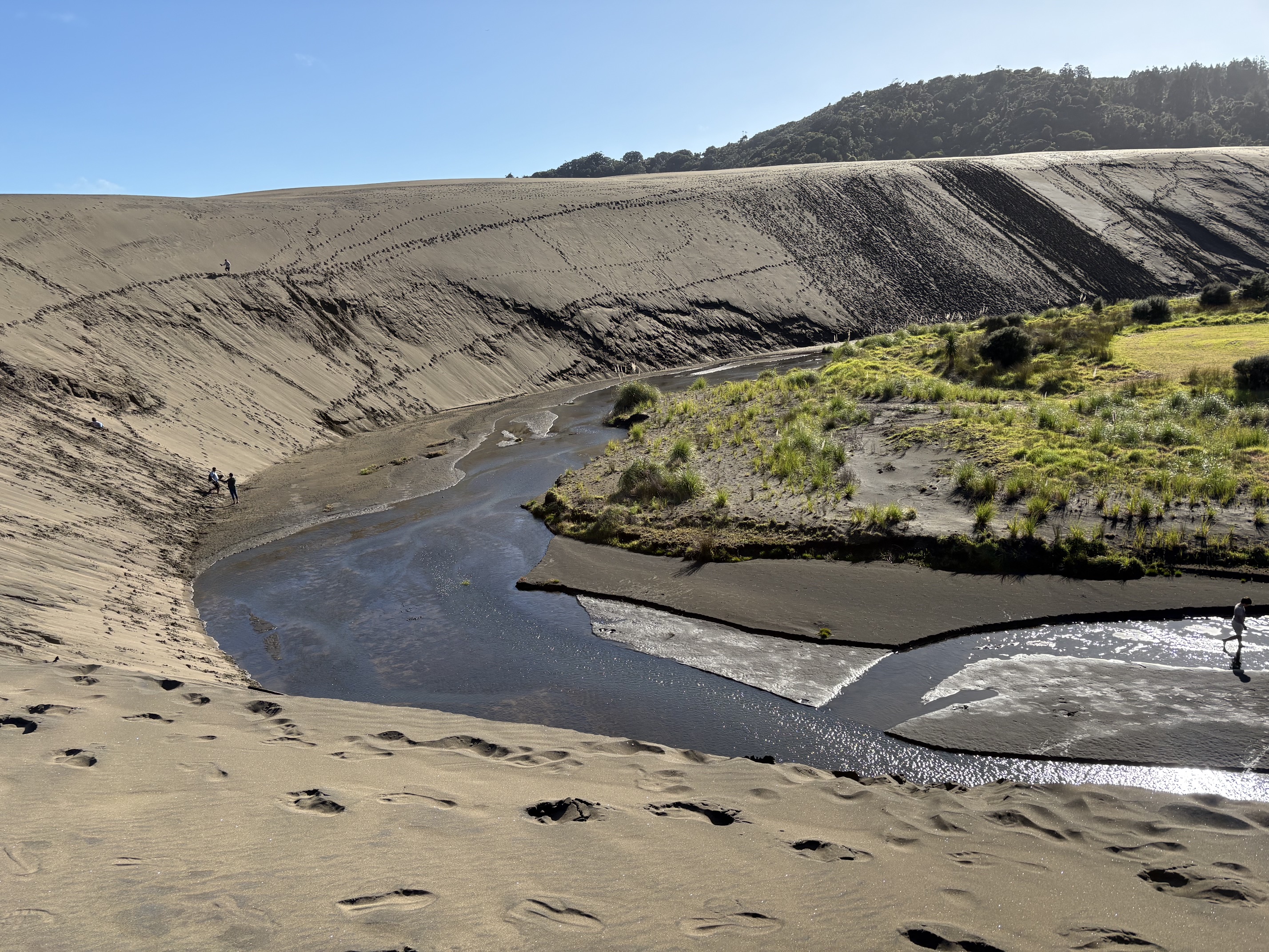 Water channels converging between a giant sand dune and green vegetation.