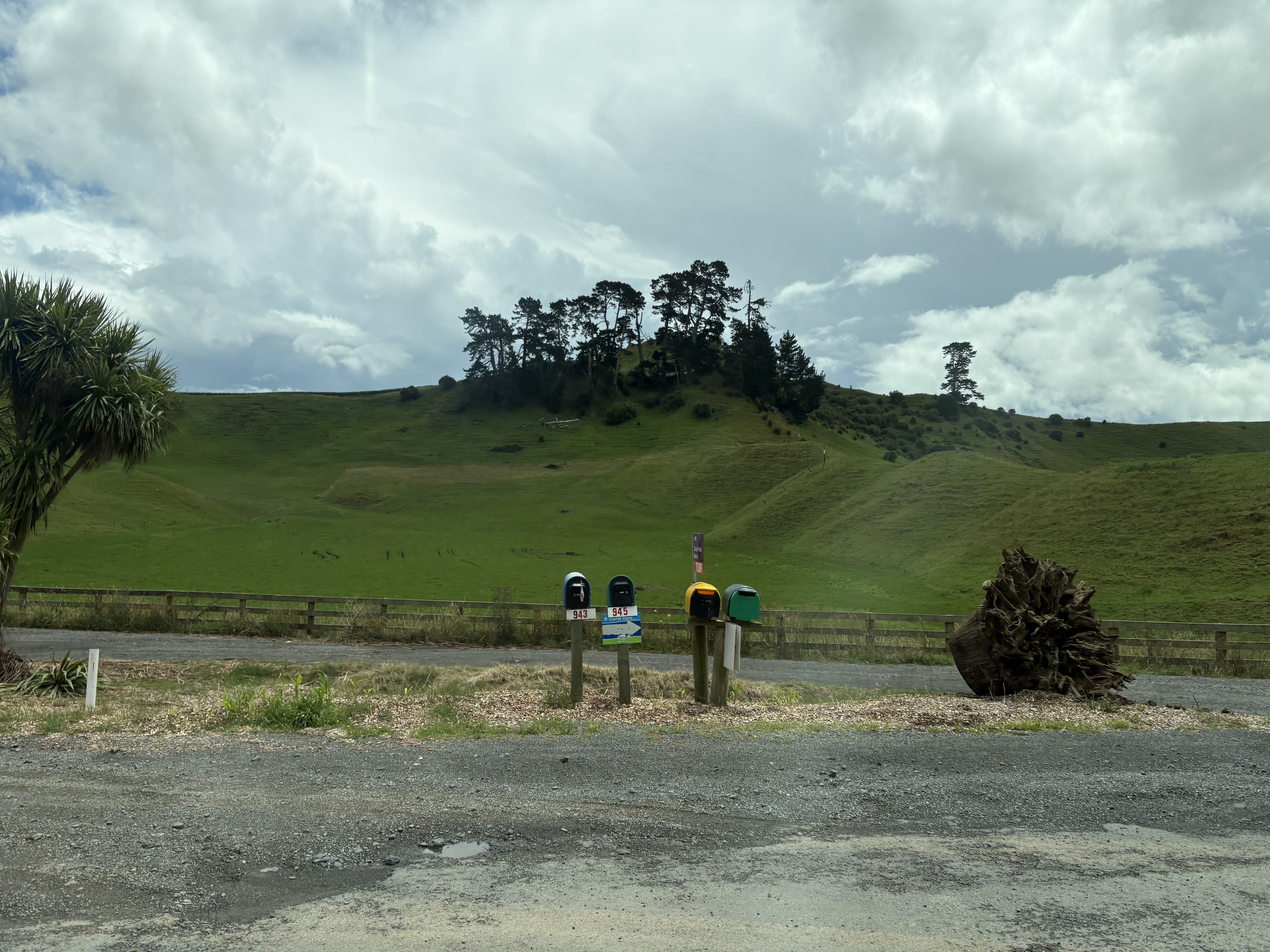 Four rural mailboxes standing beside a road against a wide green hillside.